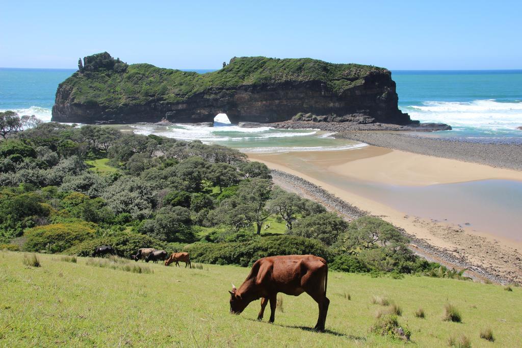 Uberkei * Coffee Bay
